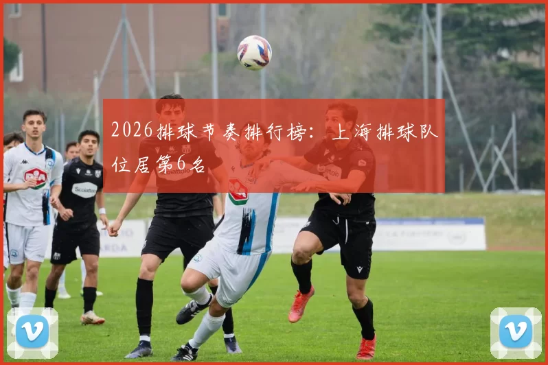 2026排球节奏排行榜：上海排球队位居第6名