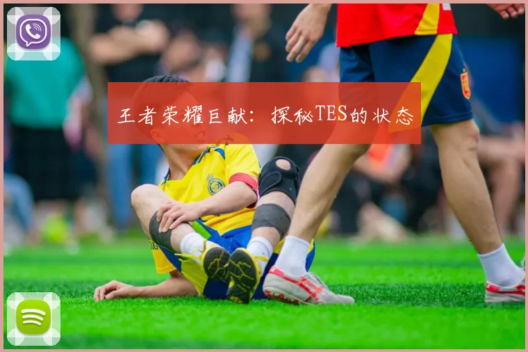 王者荣耀巨献：探秘TES的状态