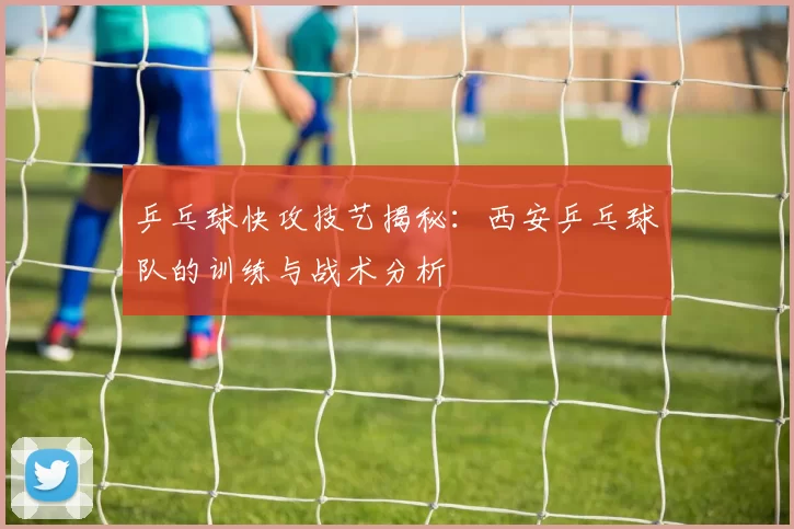 乒乓球快攻技艺揭秘：西安乒乓球队的训练与战术分析