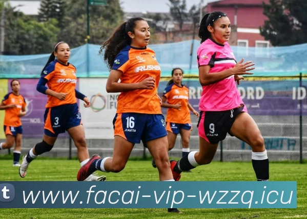 开云体育品牌故事